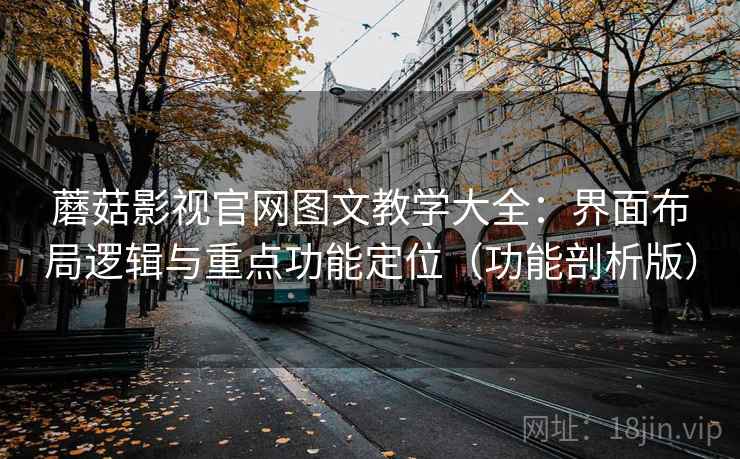蘑菇影视官网图文教学大全：界面布局逻辑与重点功能定位（功能剖析版）