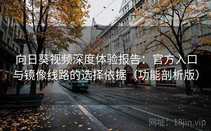 向日葵视频深度体验报告：官方入口与镜像线路的选择依据（功能剖析版）