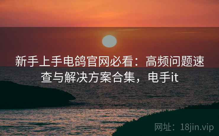 新手上手电鸽官网必看：高频问题速查与解决方案合集，电手it