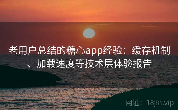 老用户总结的糖心app经验：缓存机制、加载速度等技术层体验报告