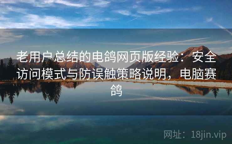 老用户总结的电鸽网页版经验：安全访问模式与防误触策略说明，电脑赛鸽