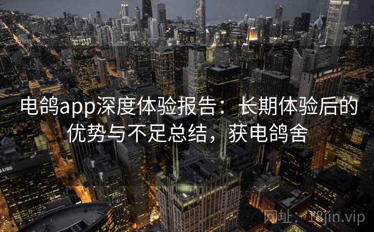 电鸽app深度体验报告：长期体验后的优势与不足总结，获电鸽舍