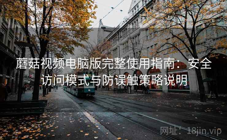 蘑菇视频电脑版完整使用指南：安全访问模式与防误触策略说明