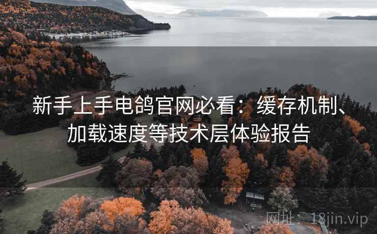 新手上手电鸽官网必看:缓存机制、加载速度等技术层体验报告 新手上手电鸽官网必看:缓存机制、加载速度等技术层体验报告