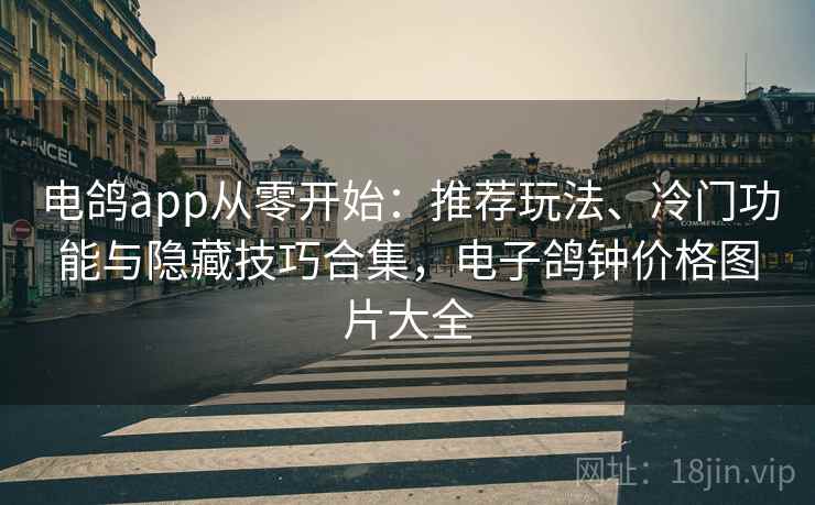 电鸽app从零开始：推荐玩法、冷门功能与隐藏技巧合集，电子鸽钟价格图片大全