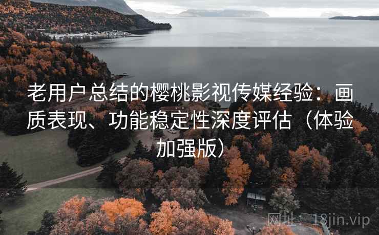 老用户总结的樱桃影视传媒经验：画质表现、功能稳定性深度评估（体验加强版）