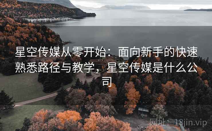 星空传媒从零开始：面向新手的快速熟悉路径与教学，星空传媒是什么公司