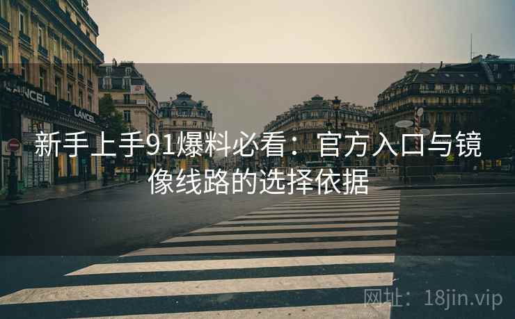新手上手91爆料必看：官方入口与镜像线路的选择依据