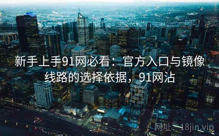 新手上手91网必看：官方入口与镜像线路的选择依据，91网沾