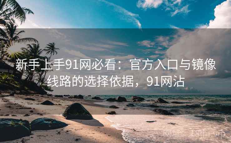 新手上手91网必看：官方入口与镜像线路的选择依据，91网沾